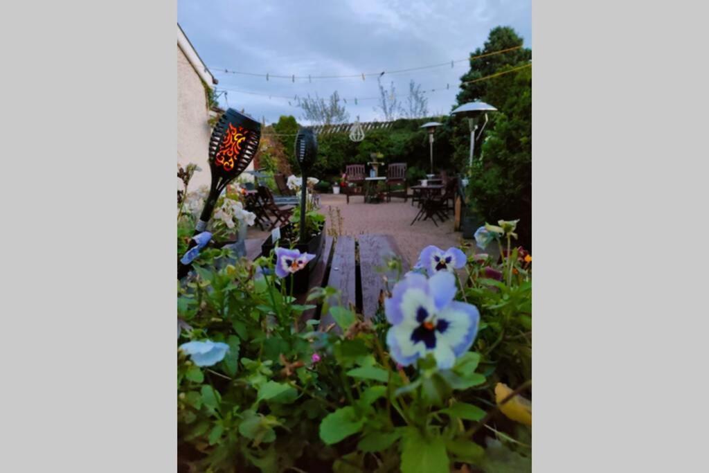 The Loft At Rowantree Cottage Dromara Bagian luar foto